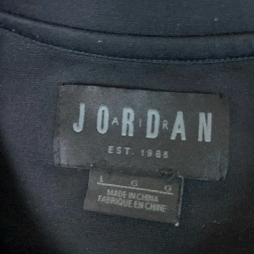 Jordan brand short